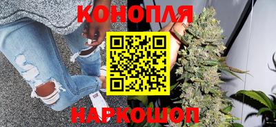 стафф Краснознаменск