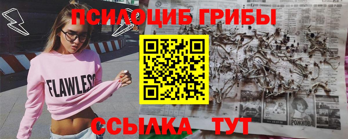 Камышлов  Галлюциногенные грибы Cubensis  Галлюциногенные грибы мухоморы  Вход с VPN 