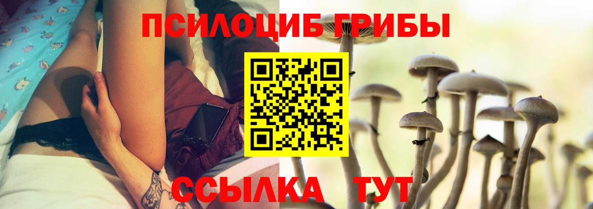 Псилоцибиновые грибы Magic Shrooms Камышлов